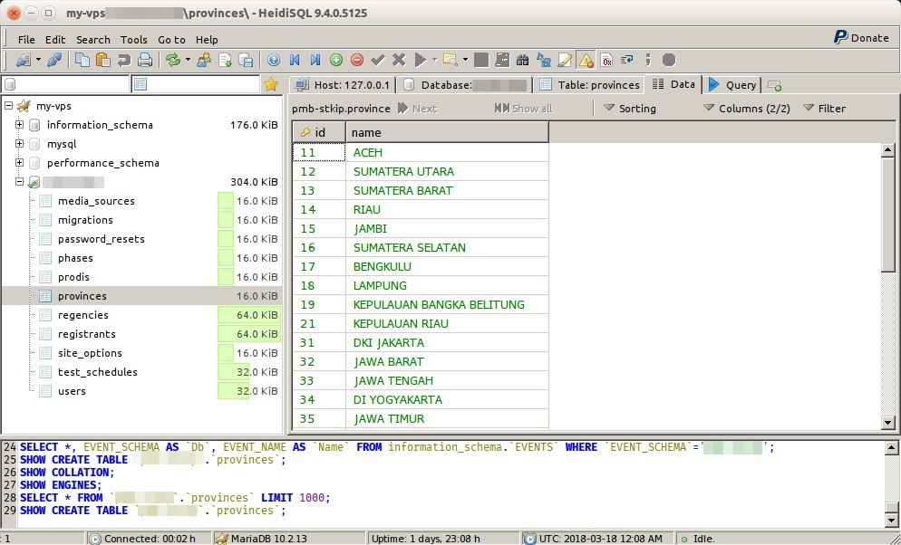 Heidi SQL Connected to VPS