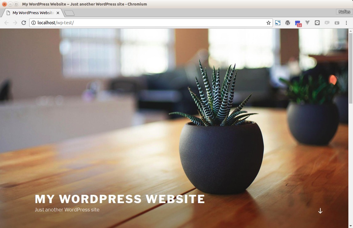 Installed Wordpress Site