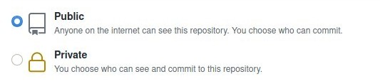 Github Repository Privacy